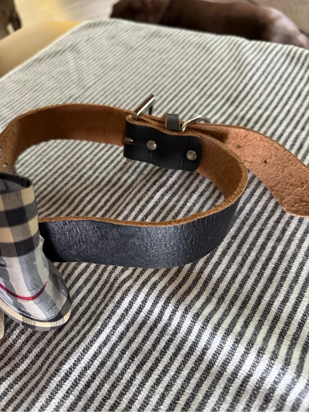 Plaid Bow Tie Dog Collar in Gray & Black - Classic Finish